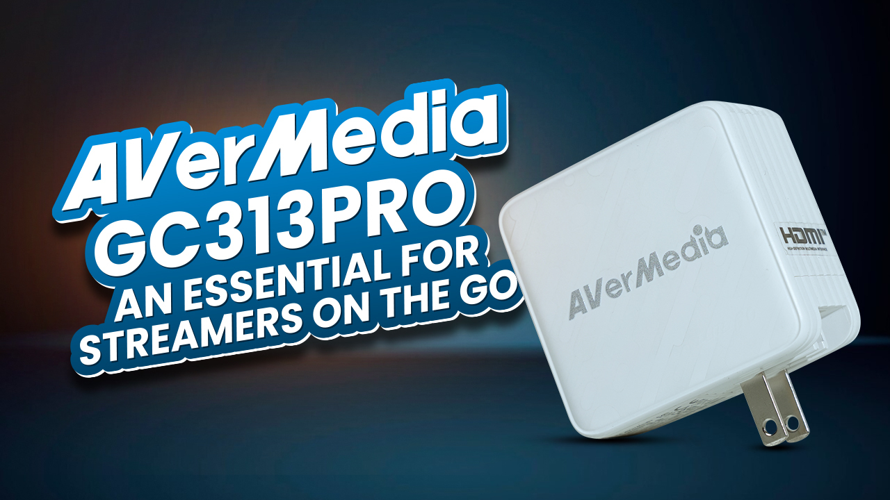 AVerMedia GC313Pro